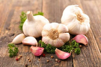 Aged Garlic Extract